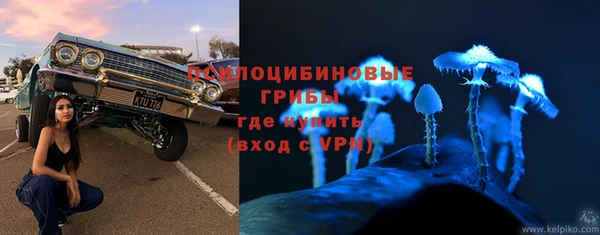меф Алексин
