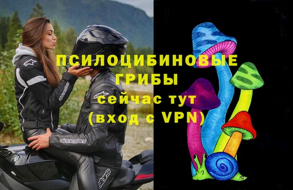 a pvp Абдулино