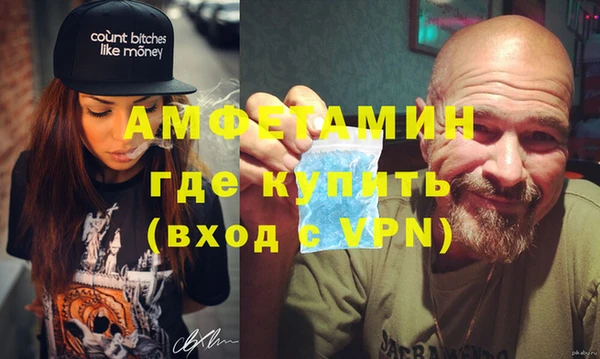сатива Новодвинск