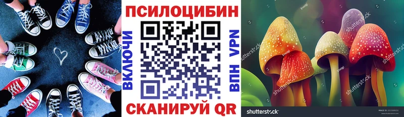 сколько стоит  Нестеров  Псилоцибиновые грибы Psilocybe 